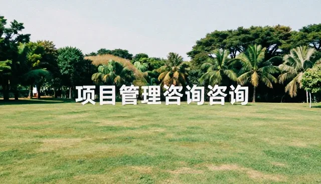 品牌咨询项目执行中的关键选型关注点